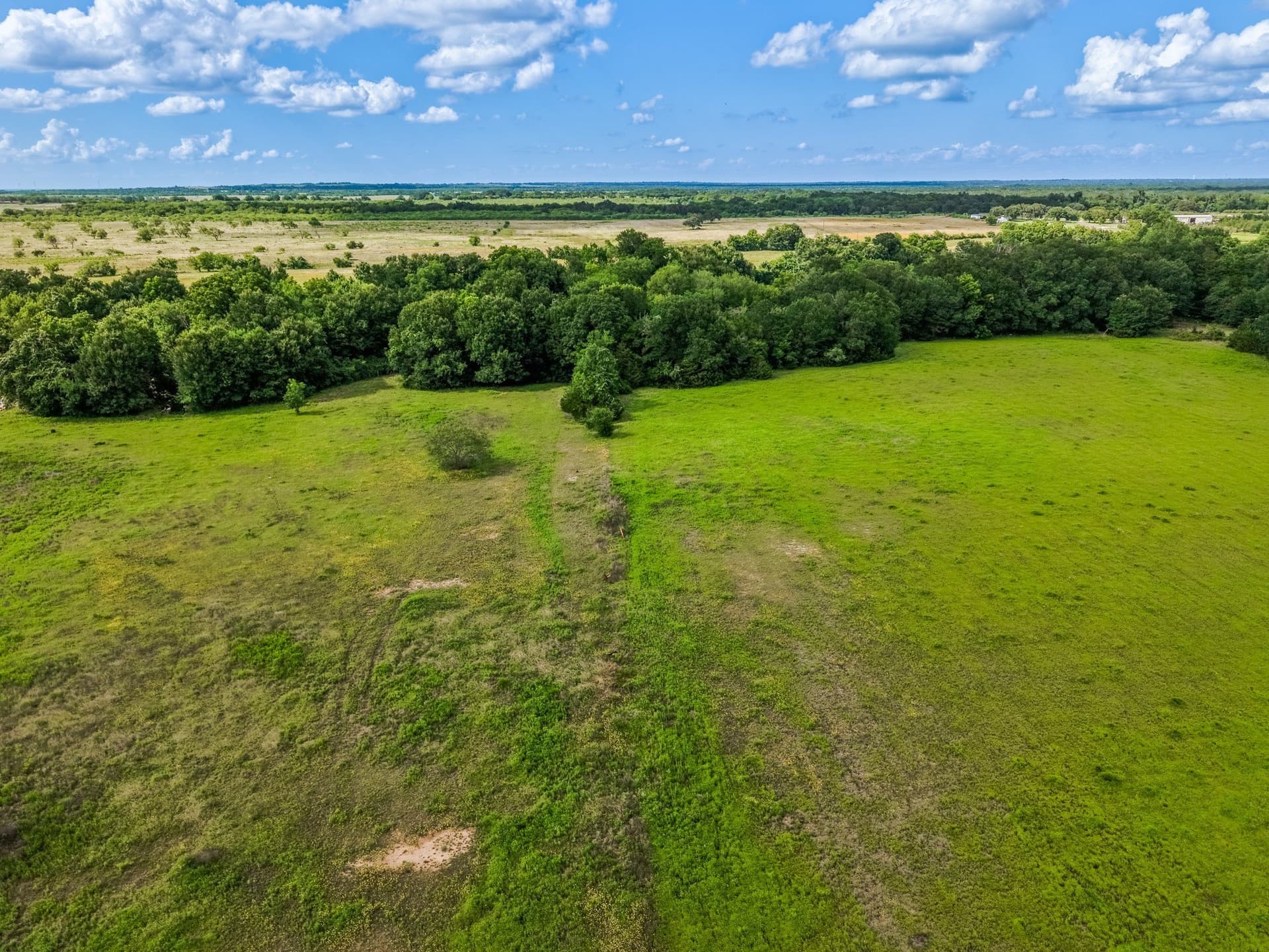 17.8 acres in Limestone County - photo 20