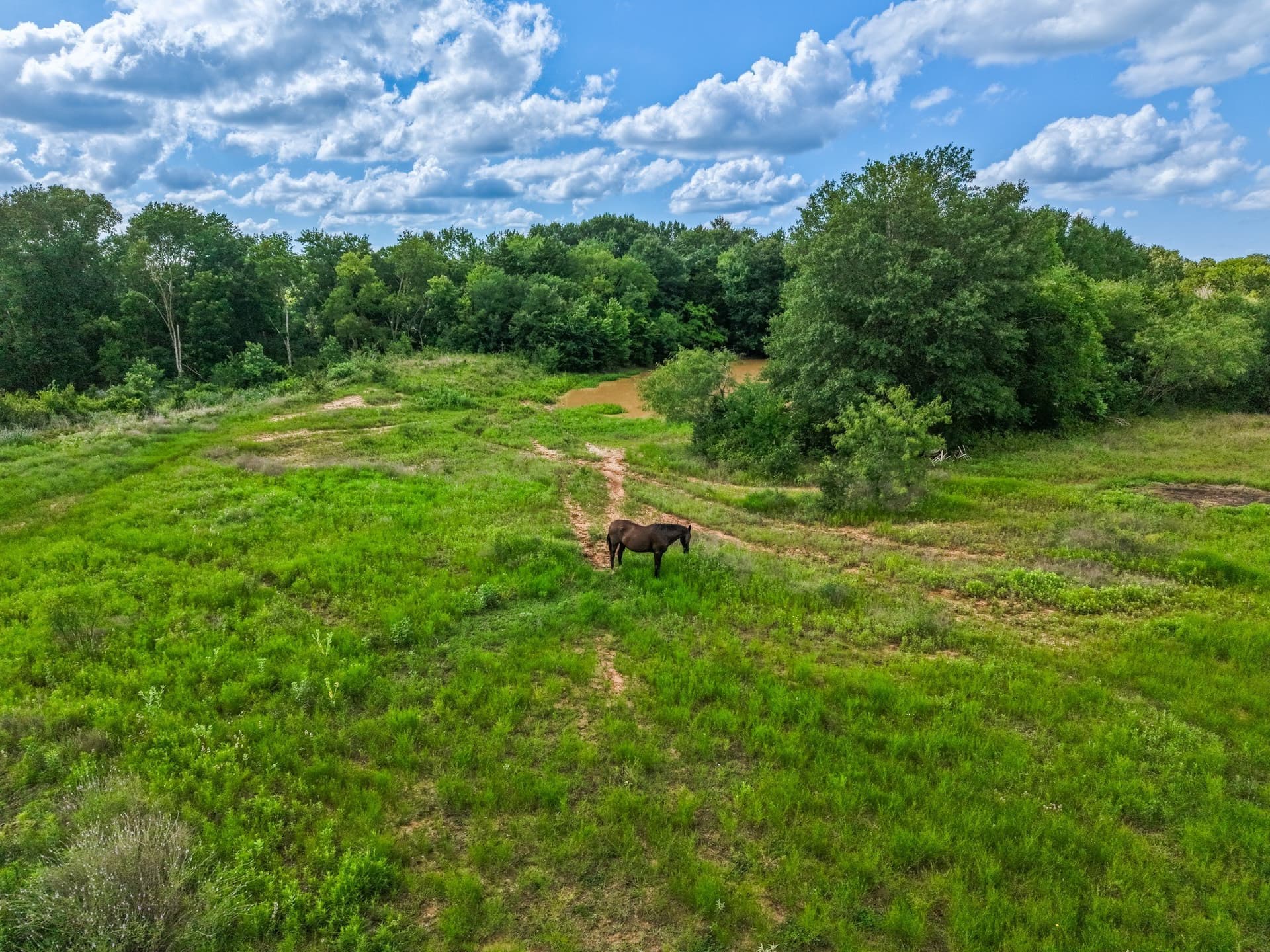 17.8 acres in Limestone County - photo 12