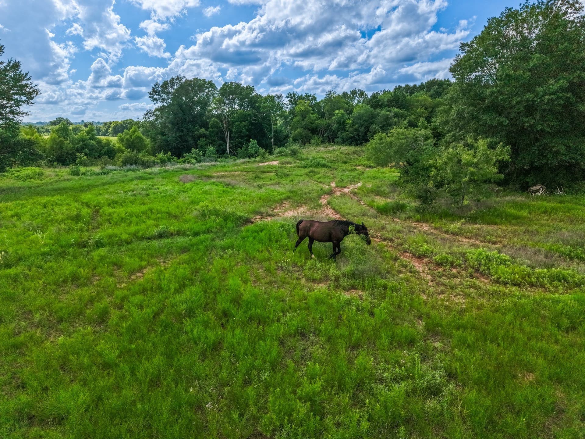 17.8 acres in Limestone County - photo 13