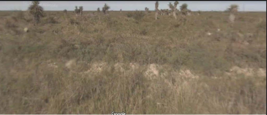 0 acres in Cameron County featured view