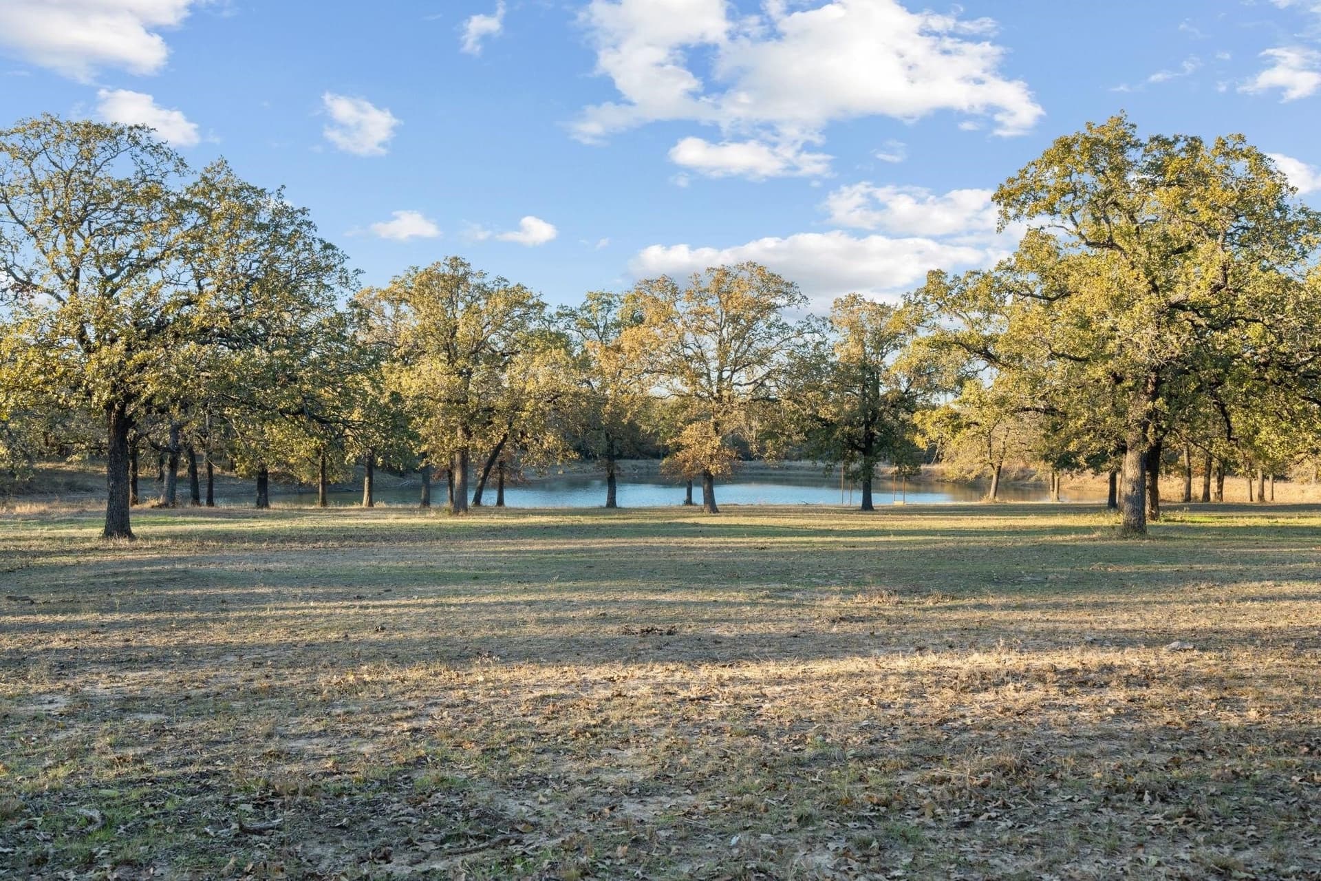 33.34 acres in Wise County - photo 33