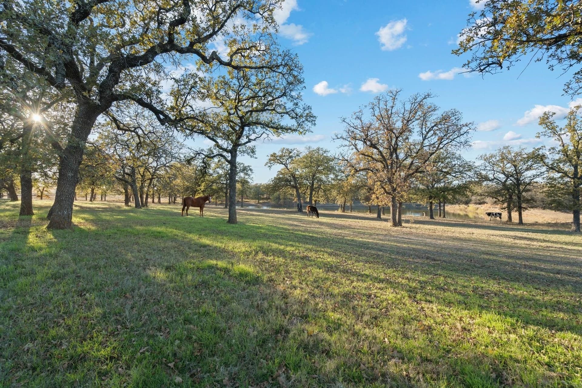 33.34 acres in Wise County - photo 28