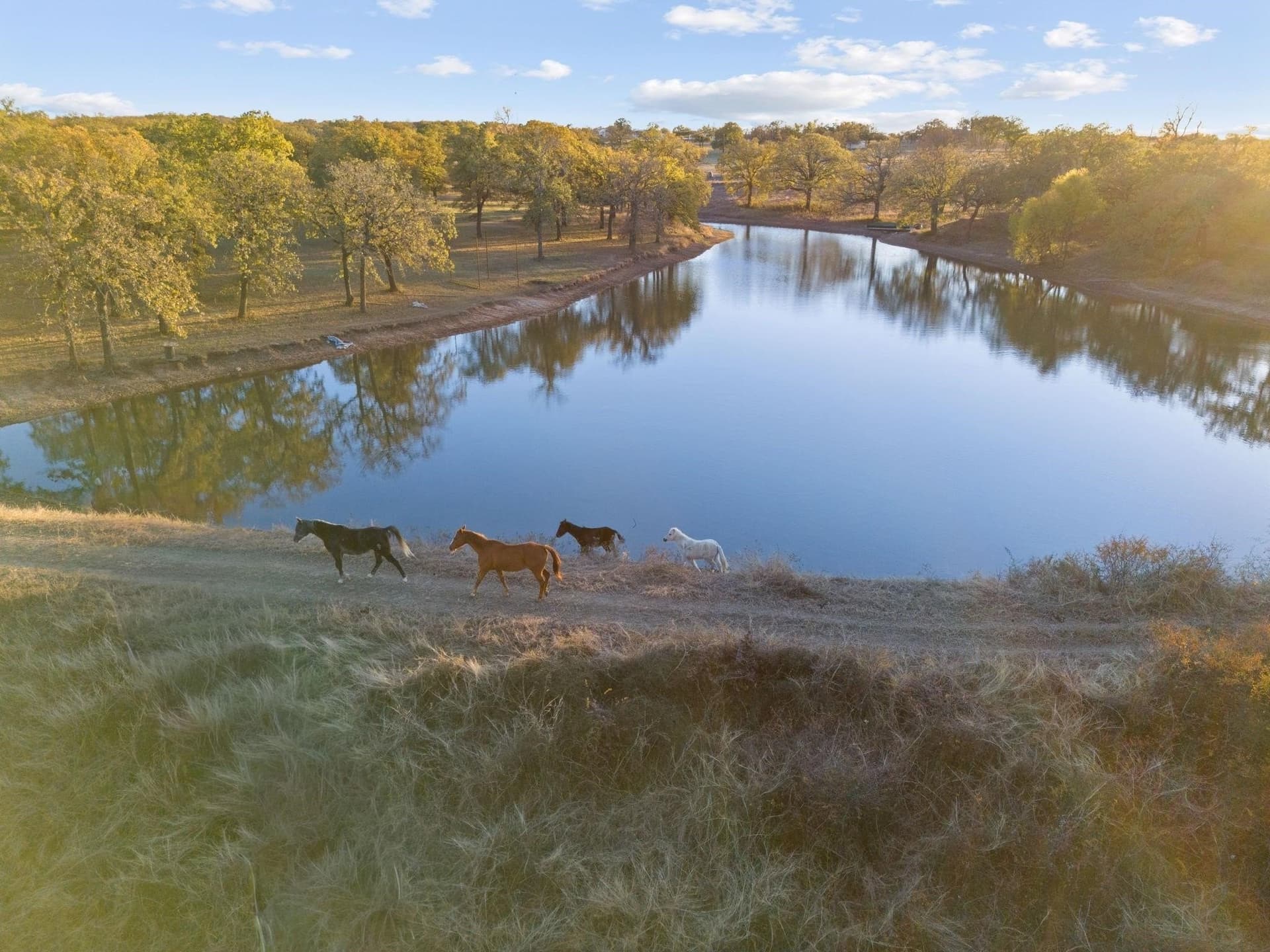 33.34 acres in Wise County - photo 6