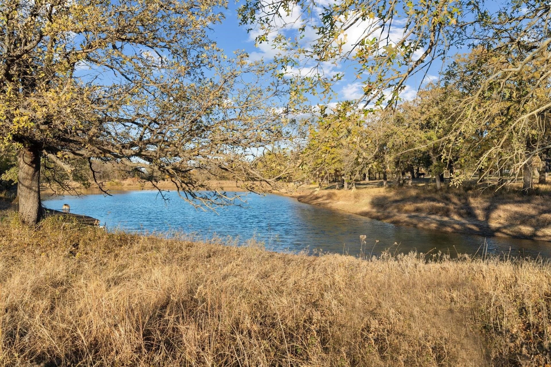 33.34 acres in Wise County - photo 29