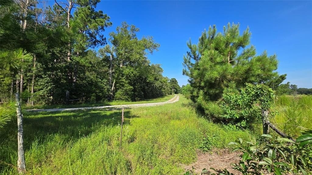 75.84 acres in Panola County featured view