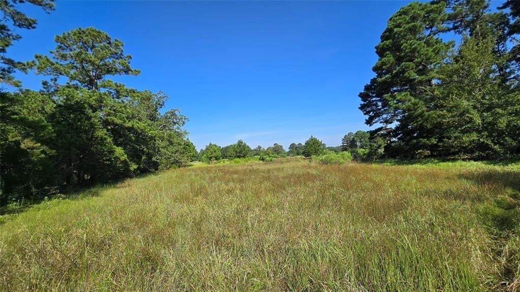 75.84 acres in Panola County gallery image 4