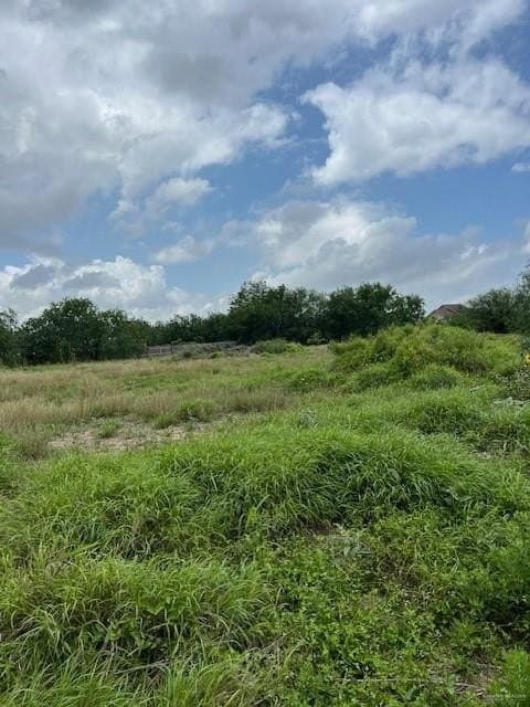 0.58 acres in Hidalgo County gallery image 2