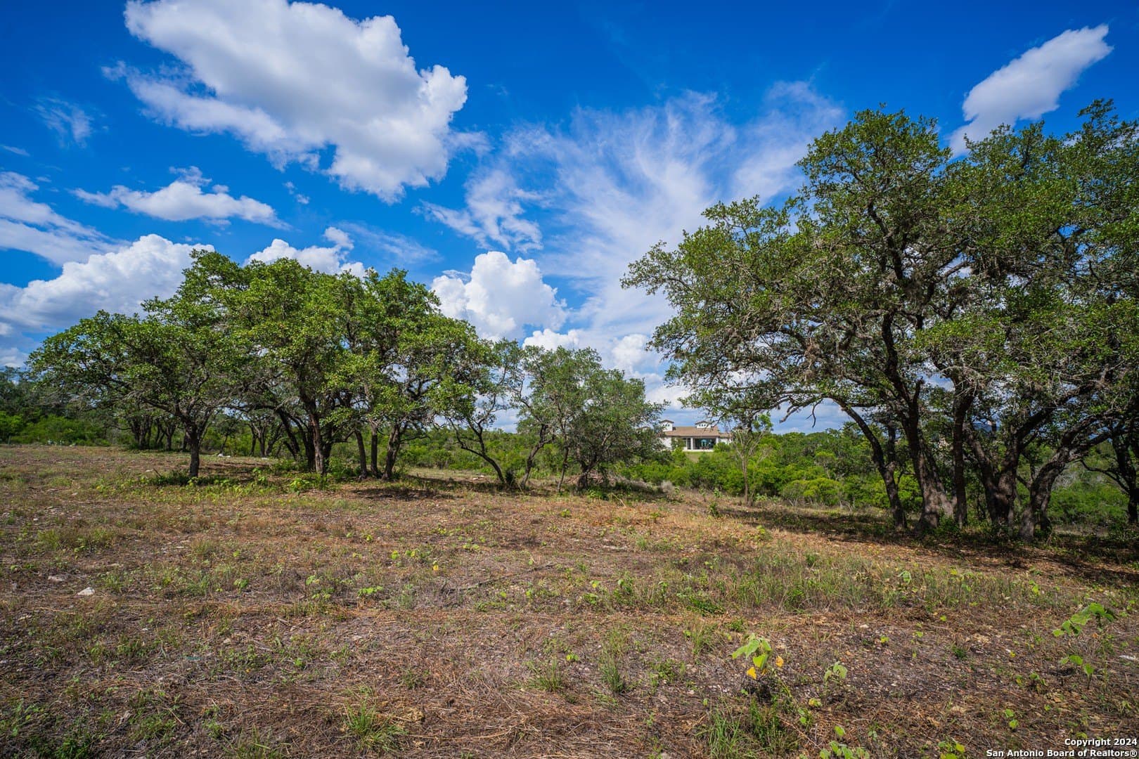 2.05 acres in Bexar County - photo 31