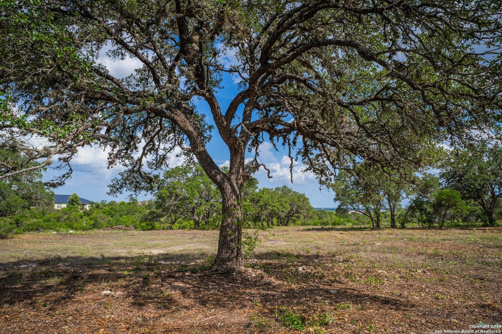 2.05 acres in Bexar County - photo 10