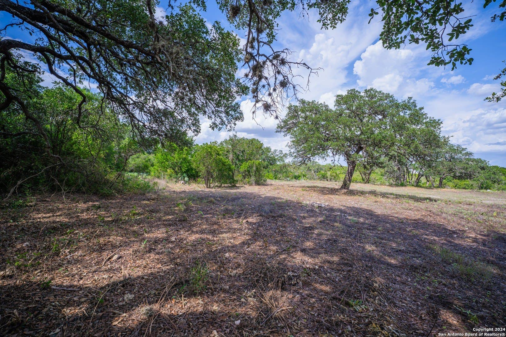 2.05 acres in Bexar County - photo 25