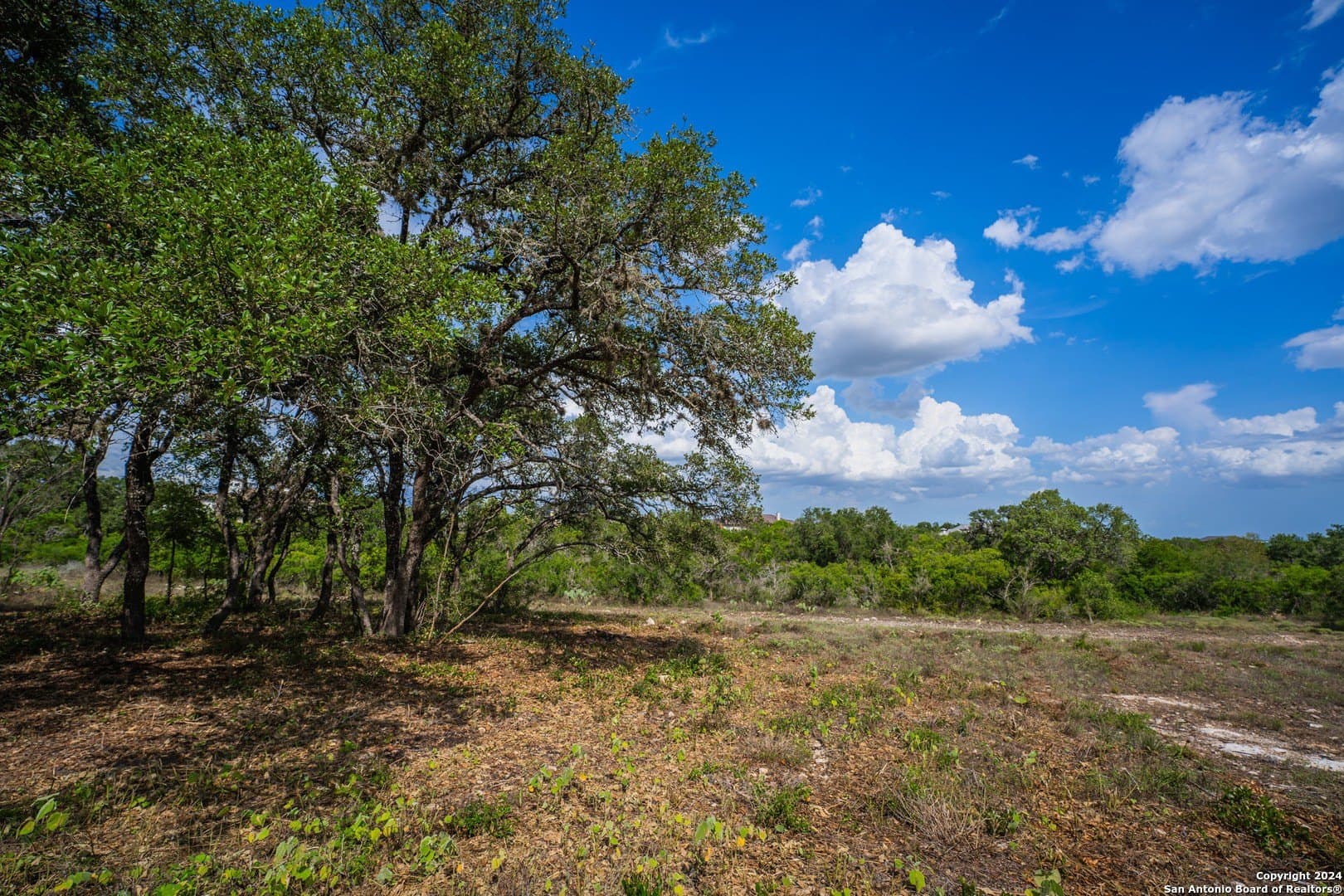 2.05 acres in Bexar County - photo 29