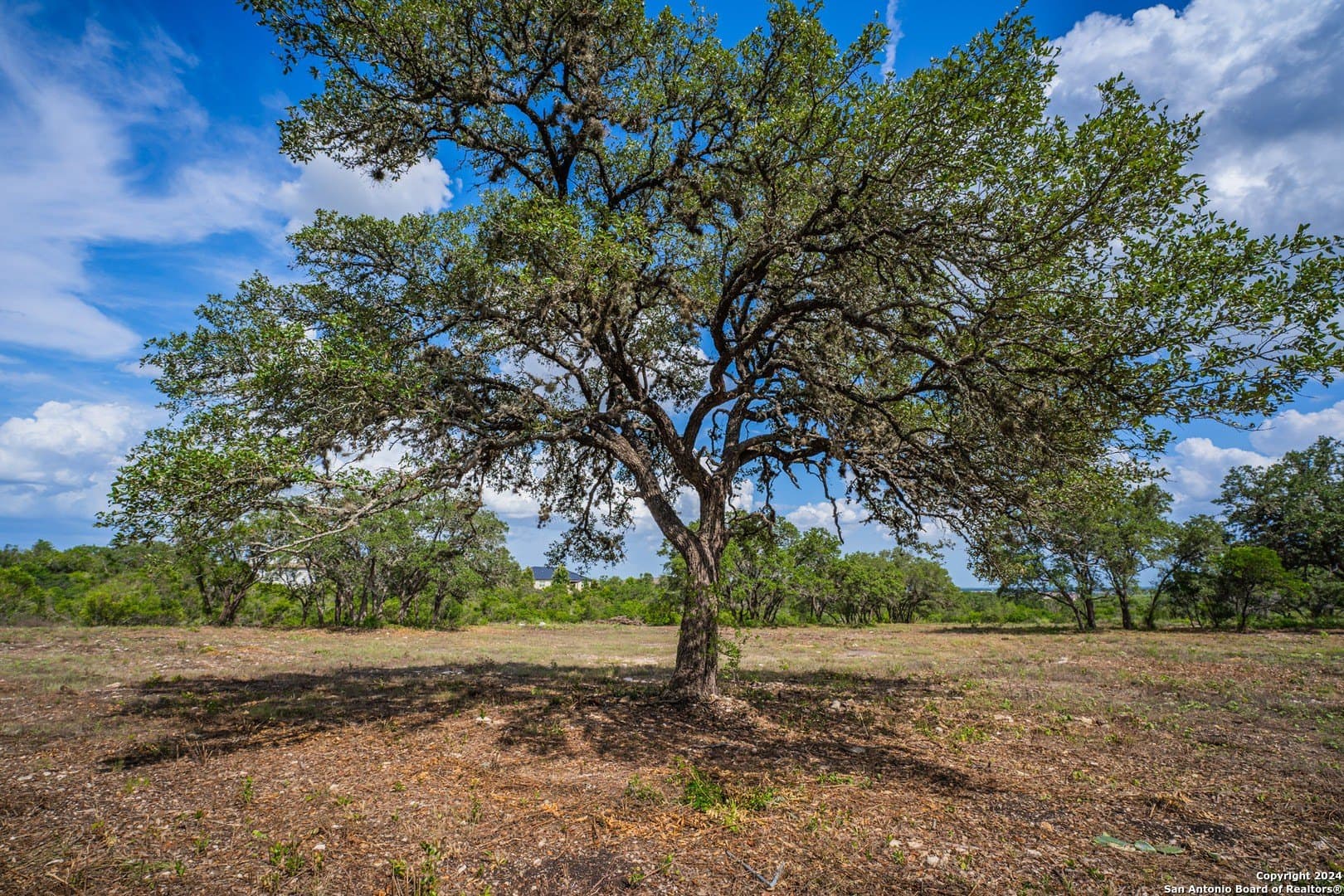 2.05 acres in Bexar County - photo 9
