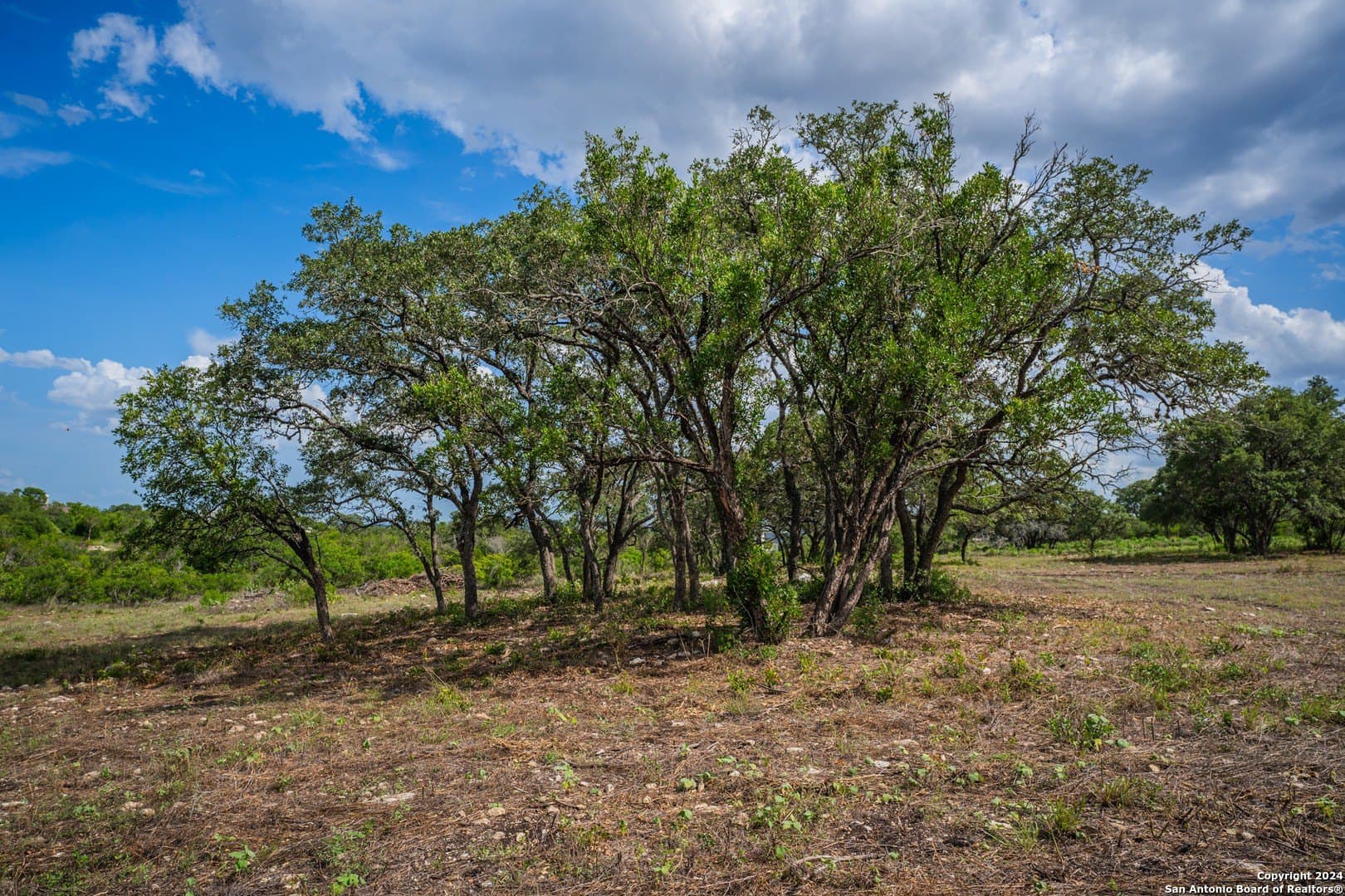 2.05 acres in Bexar County - photo 12