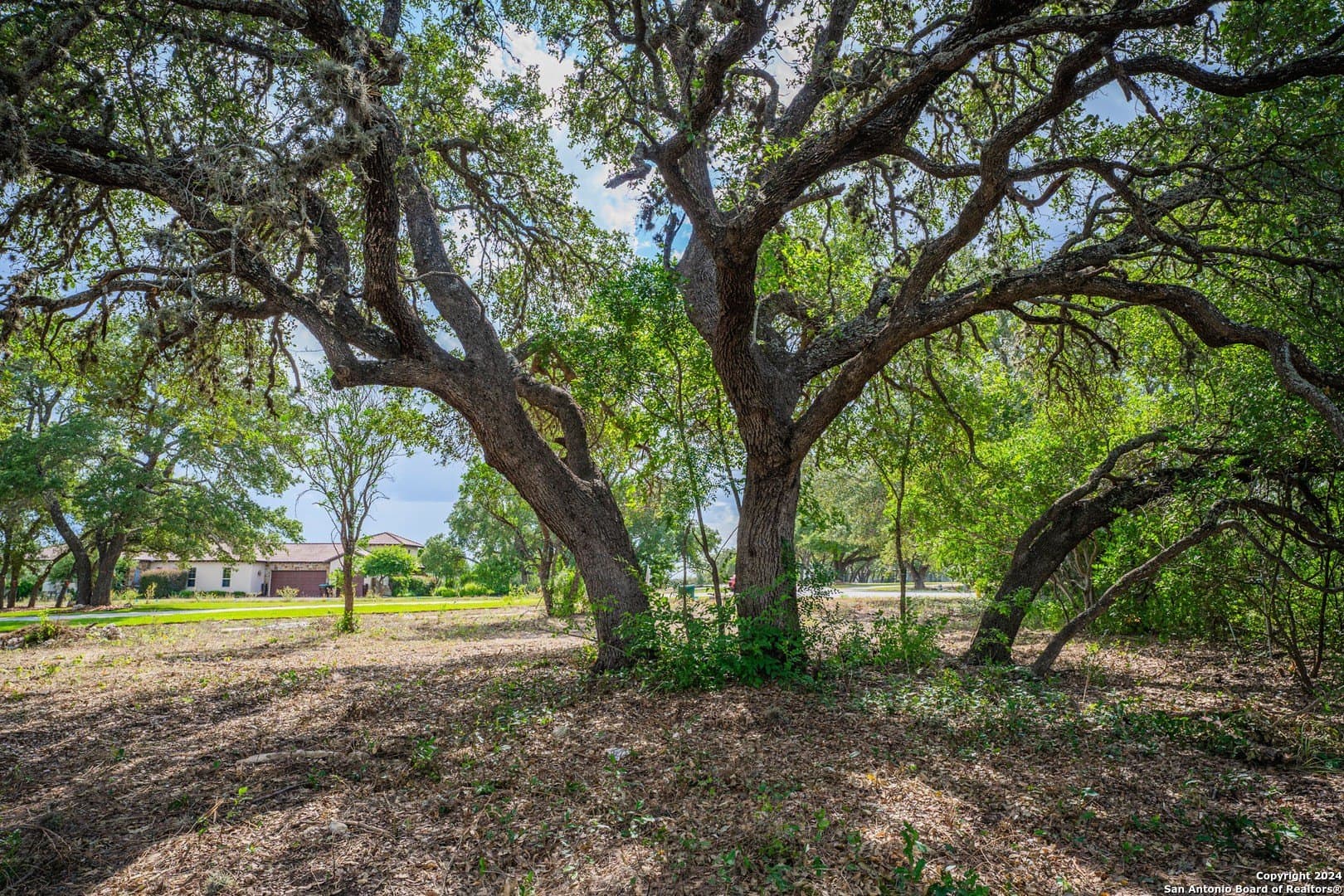 2.05 acres in Bexar County gallery image 3