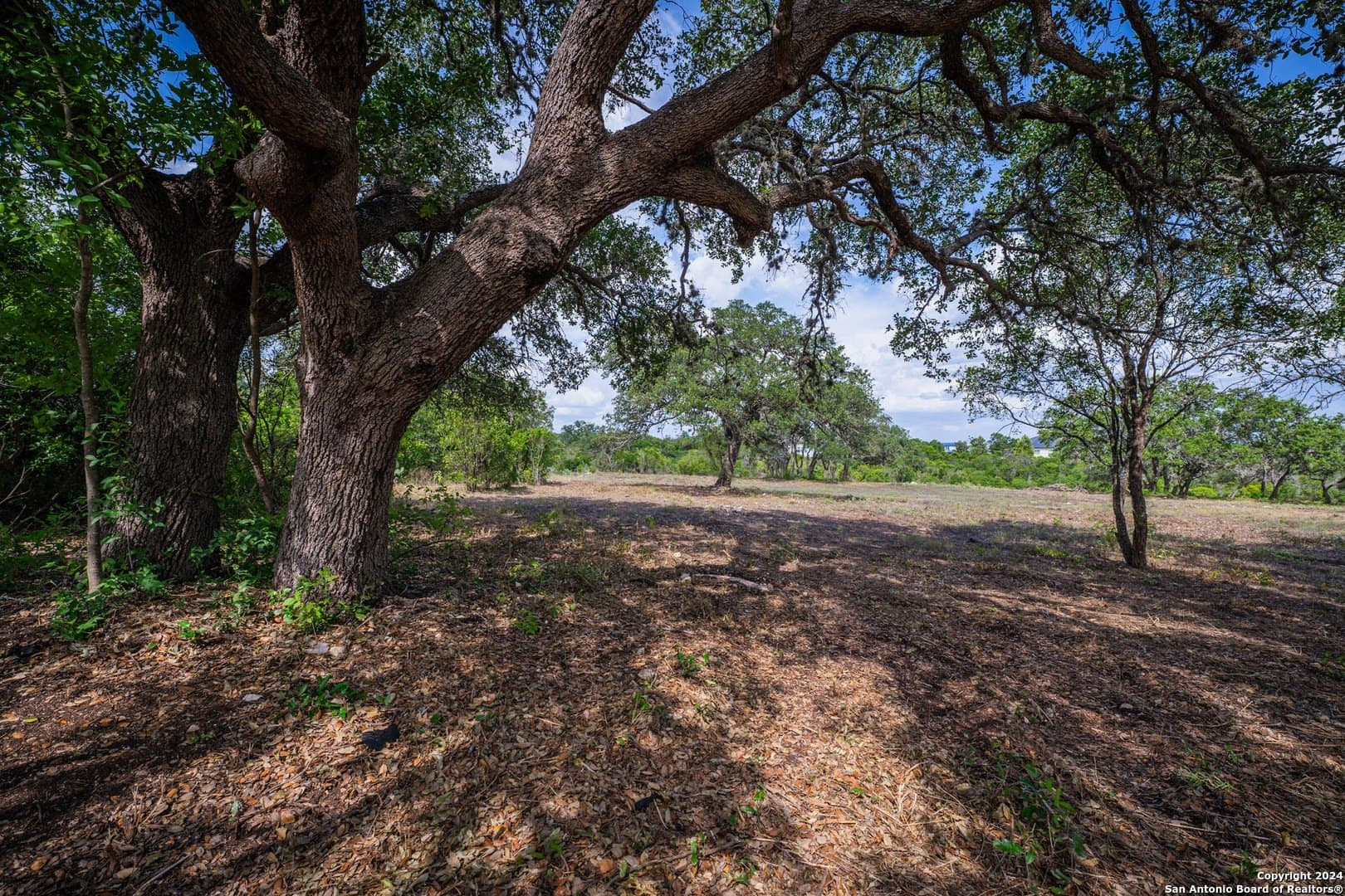 2.05 acres in Bexar County - photo 8