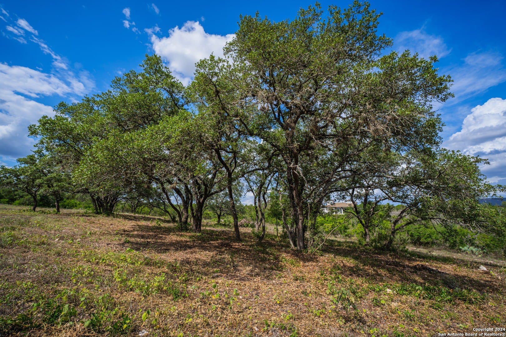 2.05 acres in Bexar County - photo 28