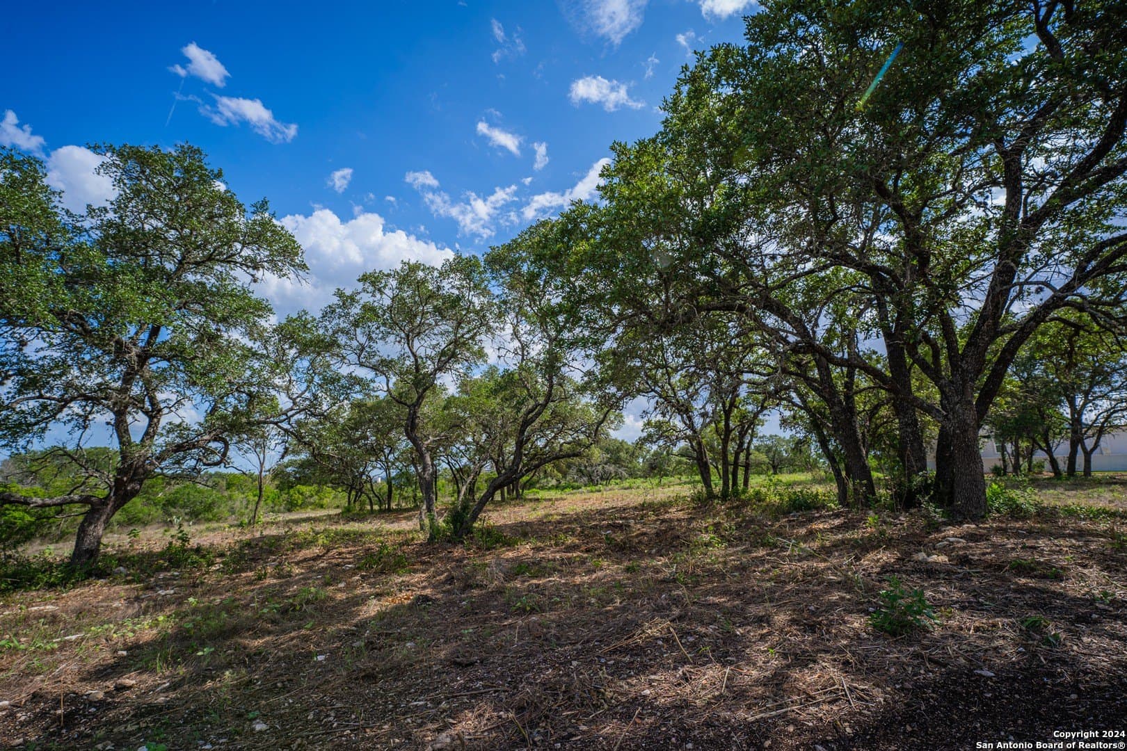 2.05 acres in Bexar County - photo 26