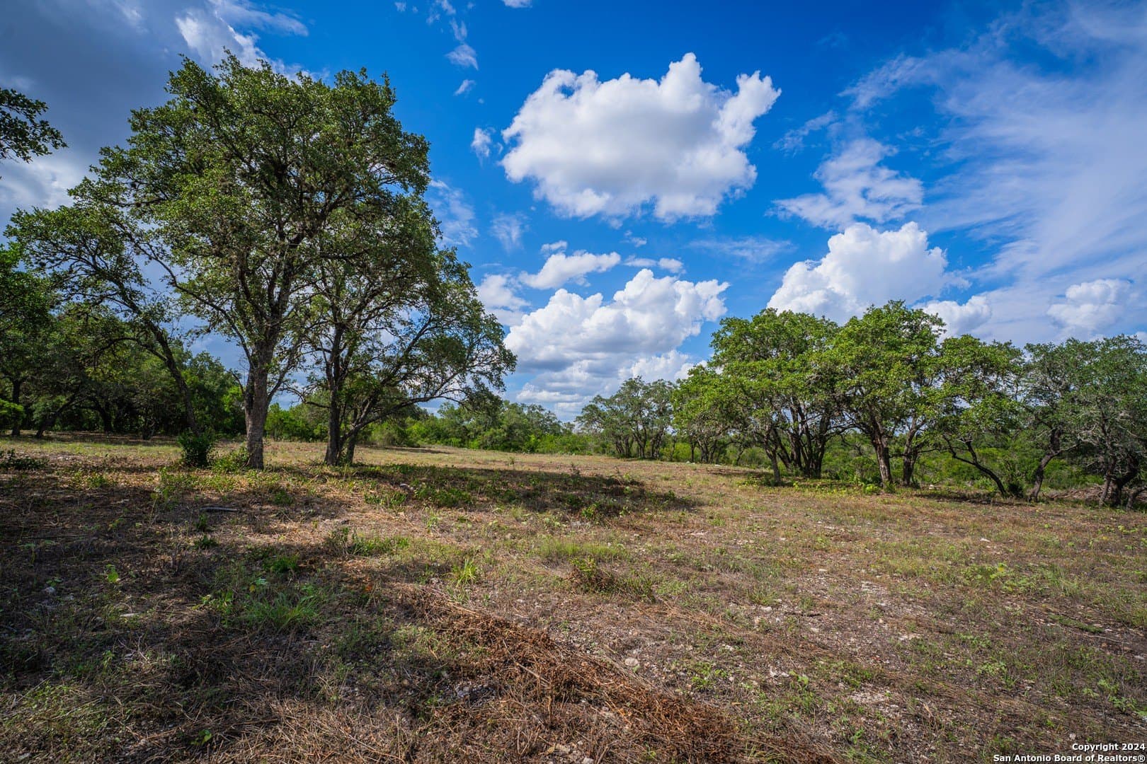 2.05 acres in Bexar County - photo 30
