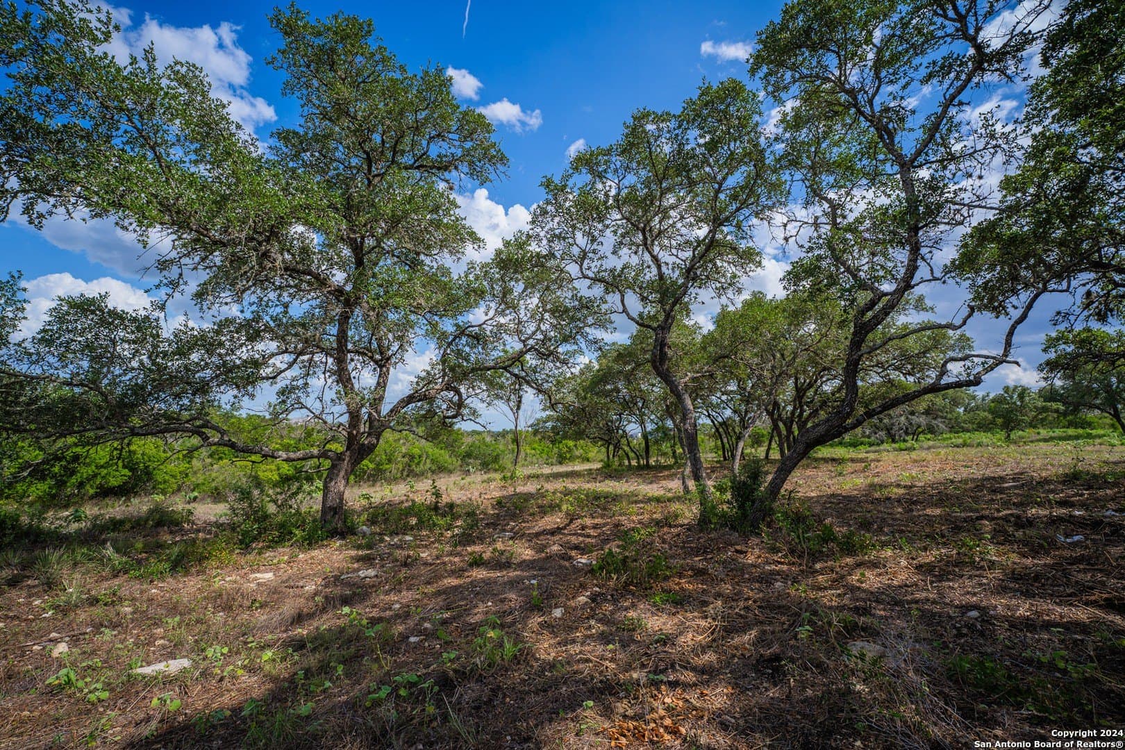 2.05 acres in Bexar County - photo 27