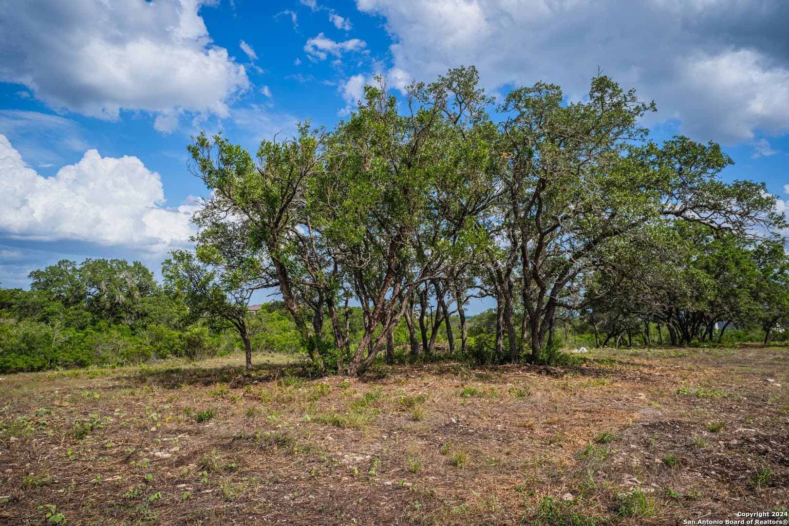 2.05 acres in Bexar County - photo 11