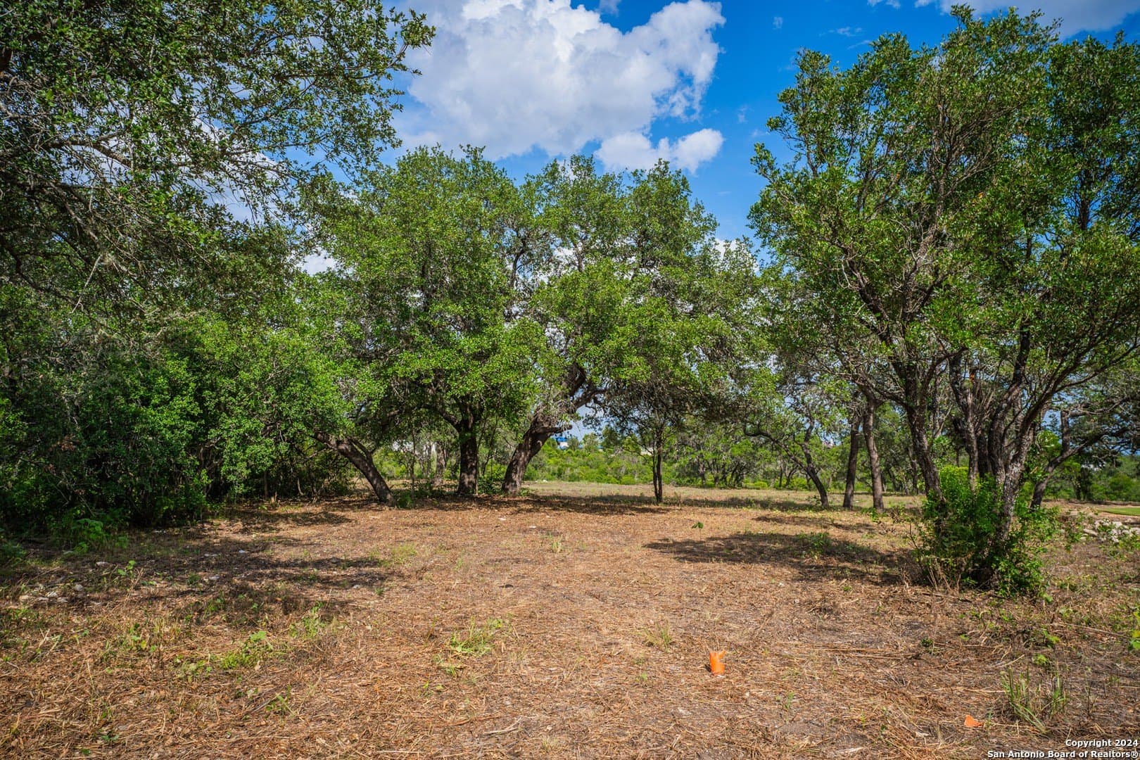 2.05 acres in Bexar County gallery image 2
