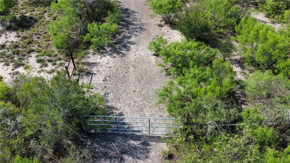 55.77 acres in Duval County gallery image 2