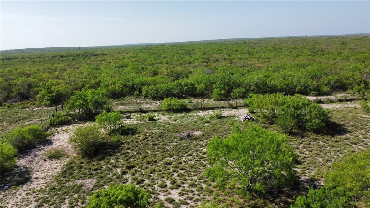 55.77 acres in Duval County gallery image 4