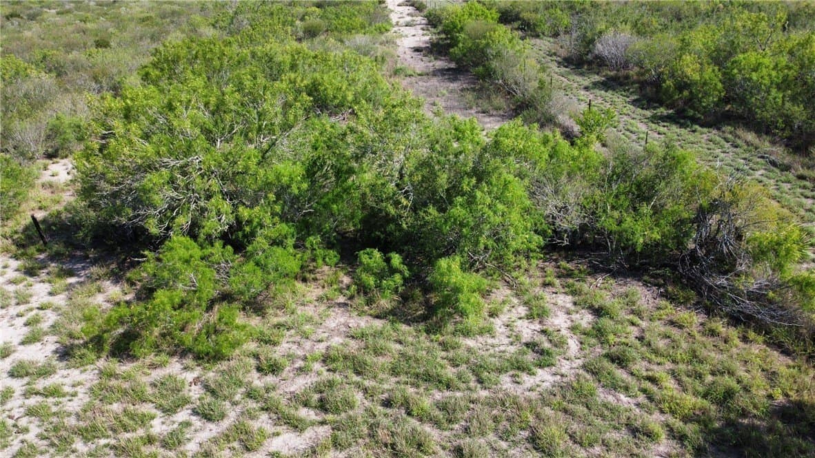 55.77 acres in Duval County gallery image 3