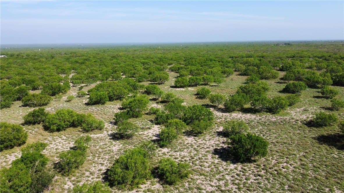 55.77 acres in Duval County featured view