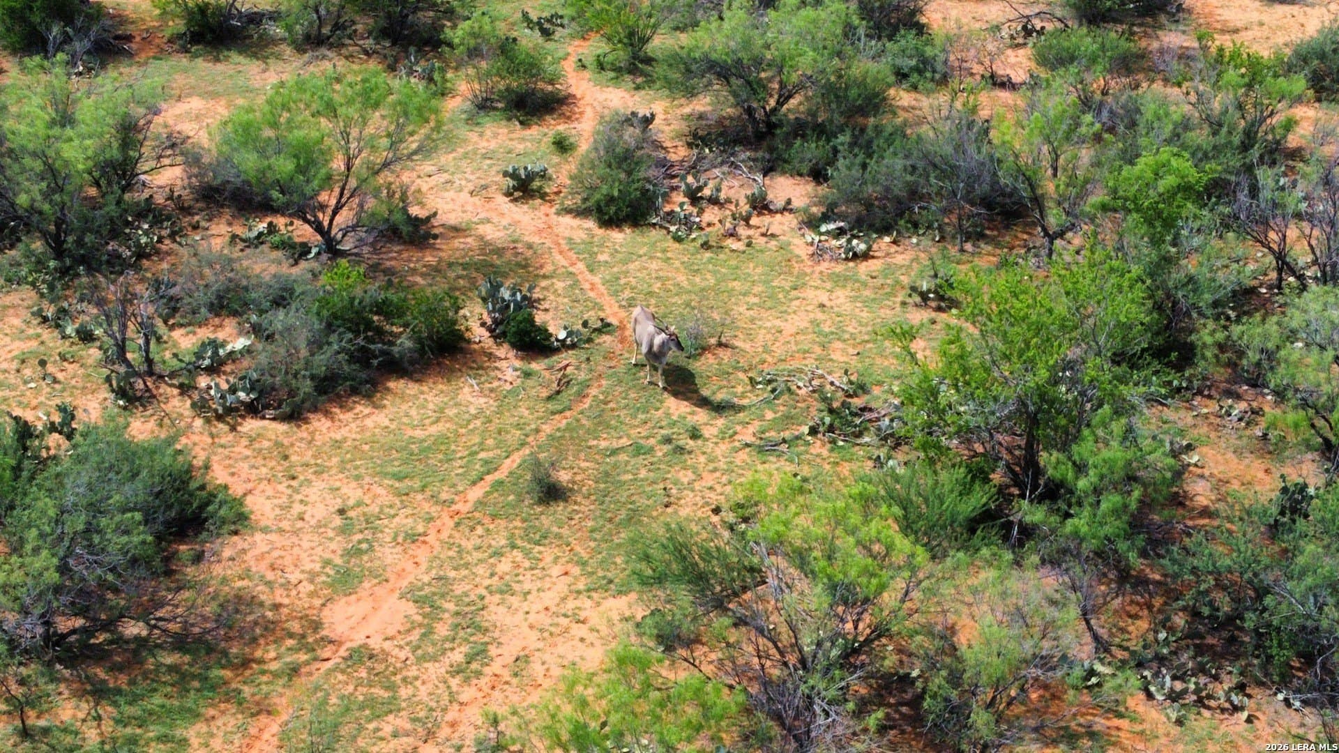 142.85 acres in Webb County - photo 21