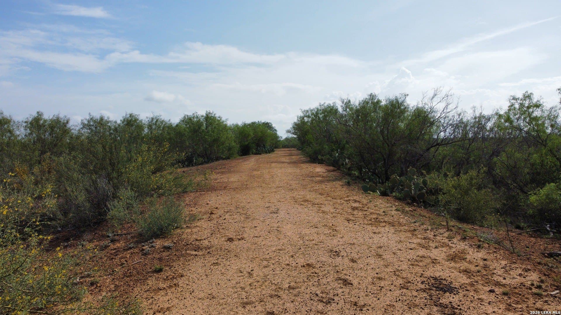 142.85 acres in Webb County - photo 11