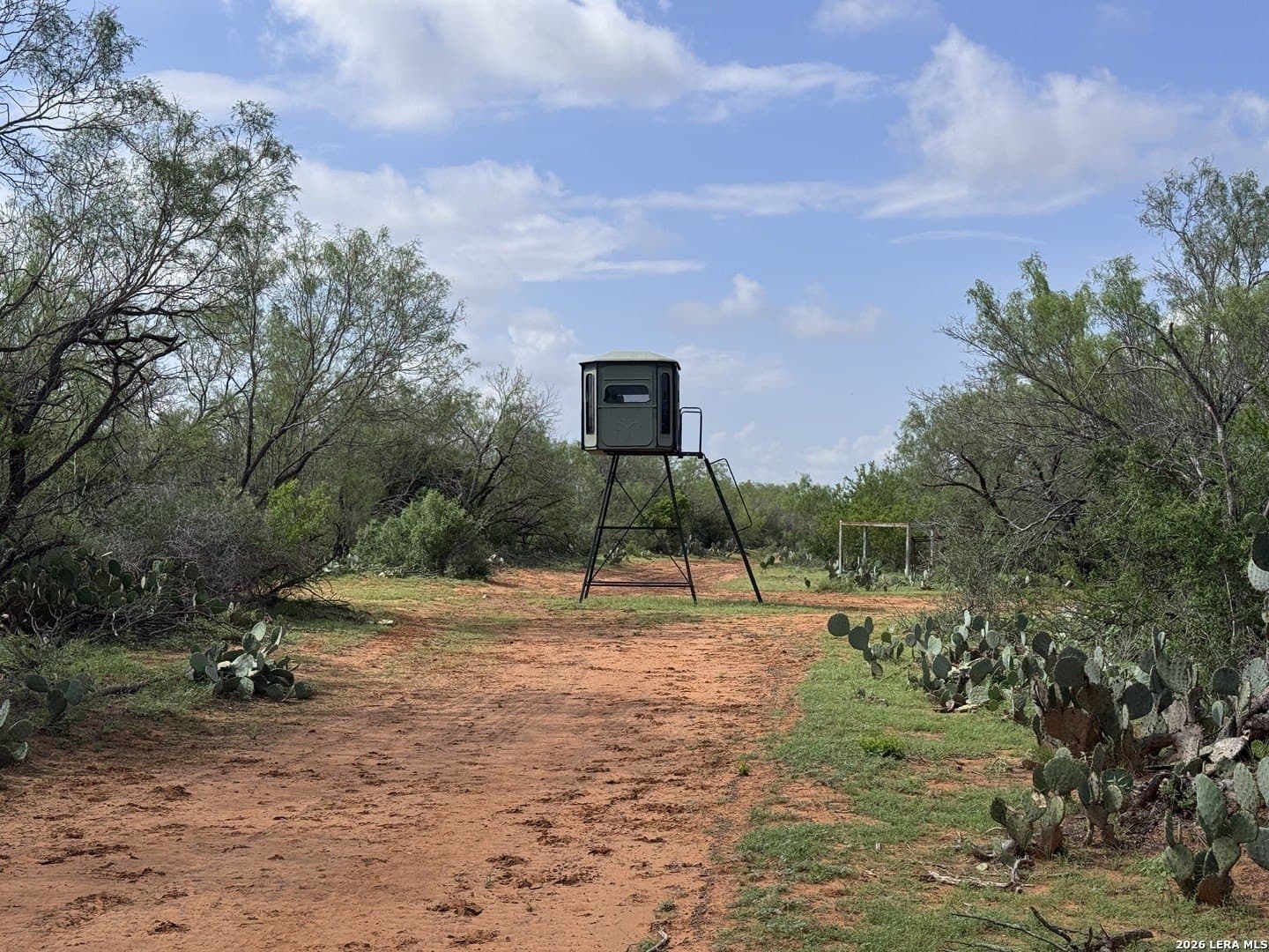 142.85 acres in Webb County - photo 32