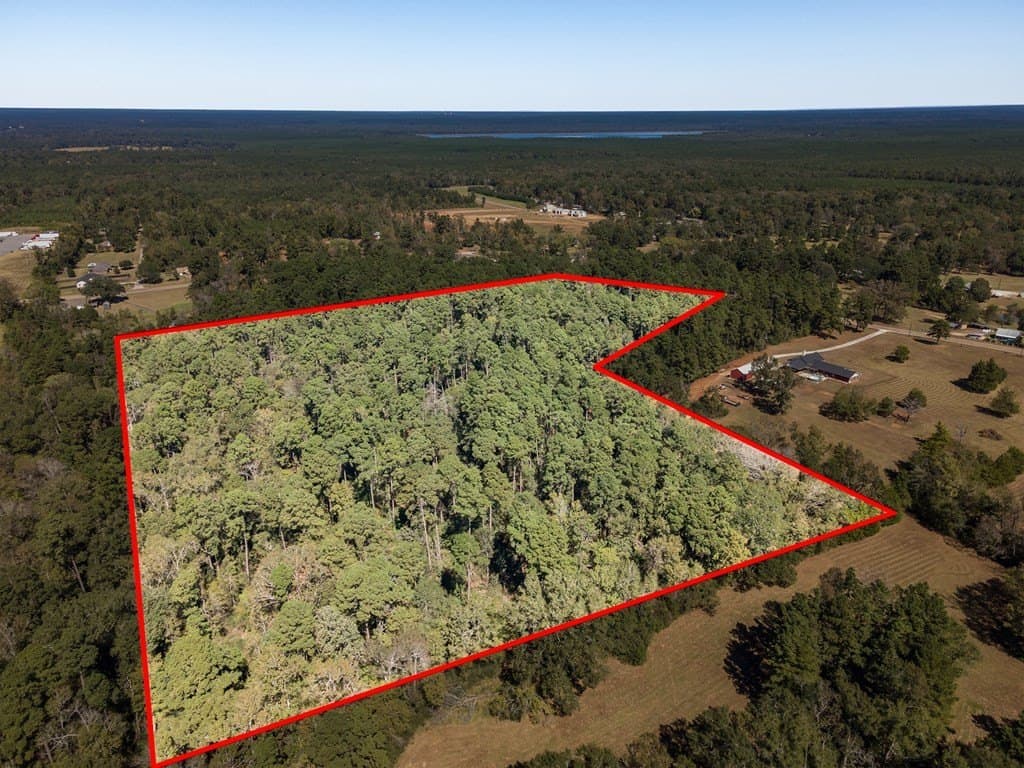 20.22 acres in Texas County gallery image 4
