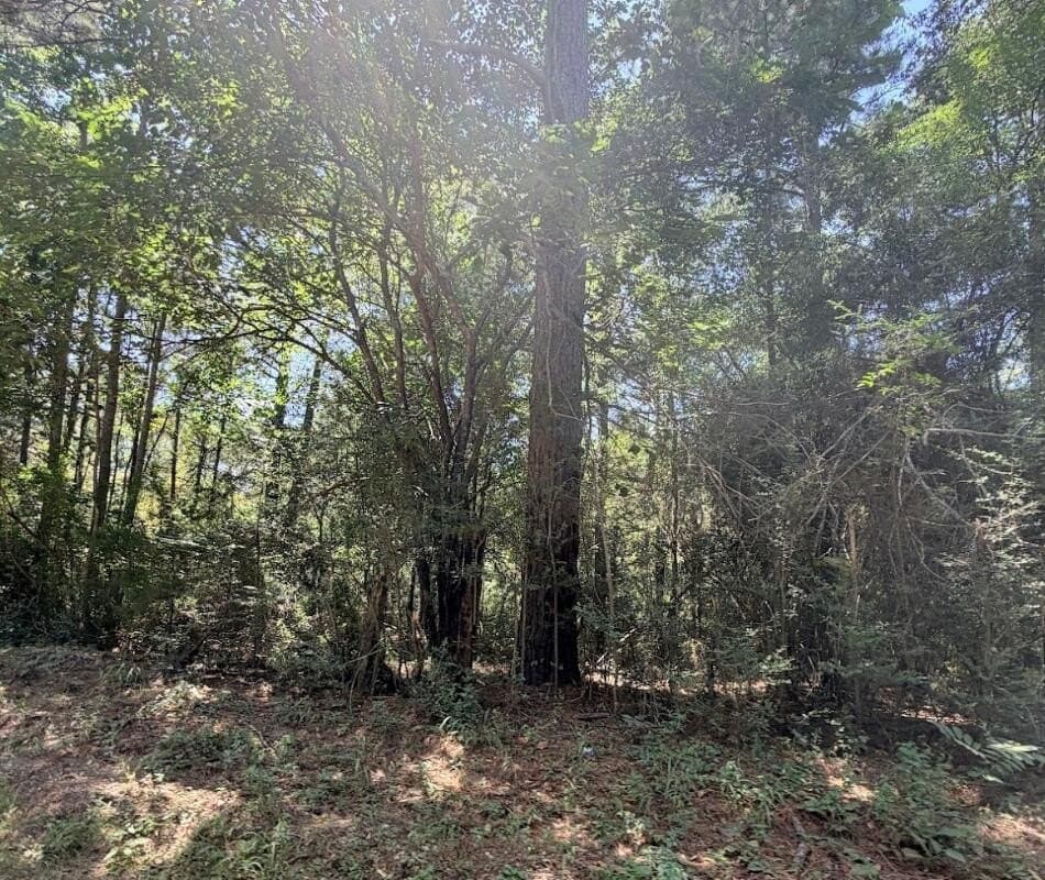 6.18 acres in Texas County - photo 16