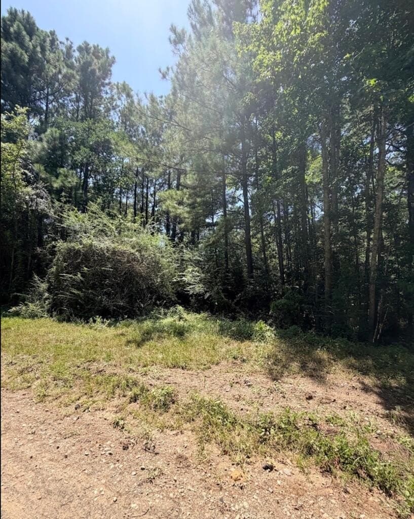 6.18 acres in Texas County - photo 17