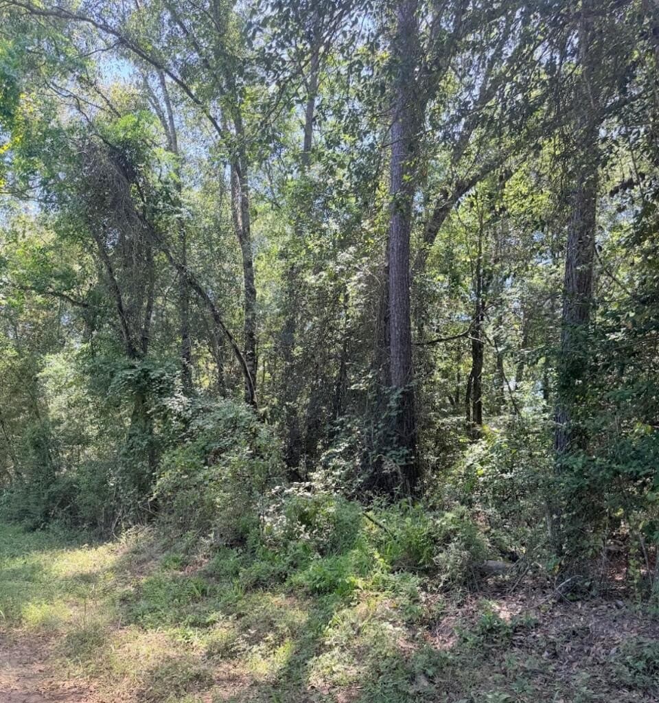 6.18 acres in Texas County - photo 9