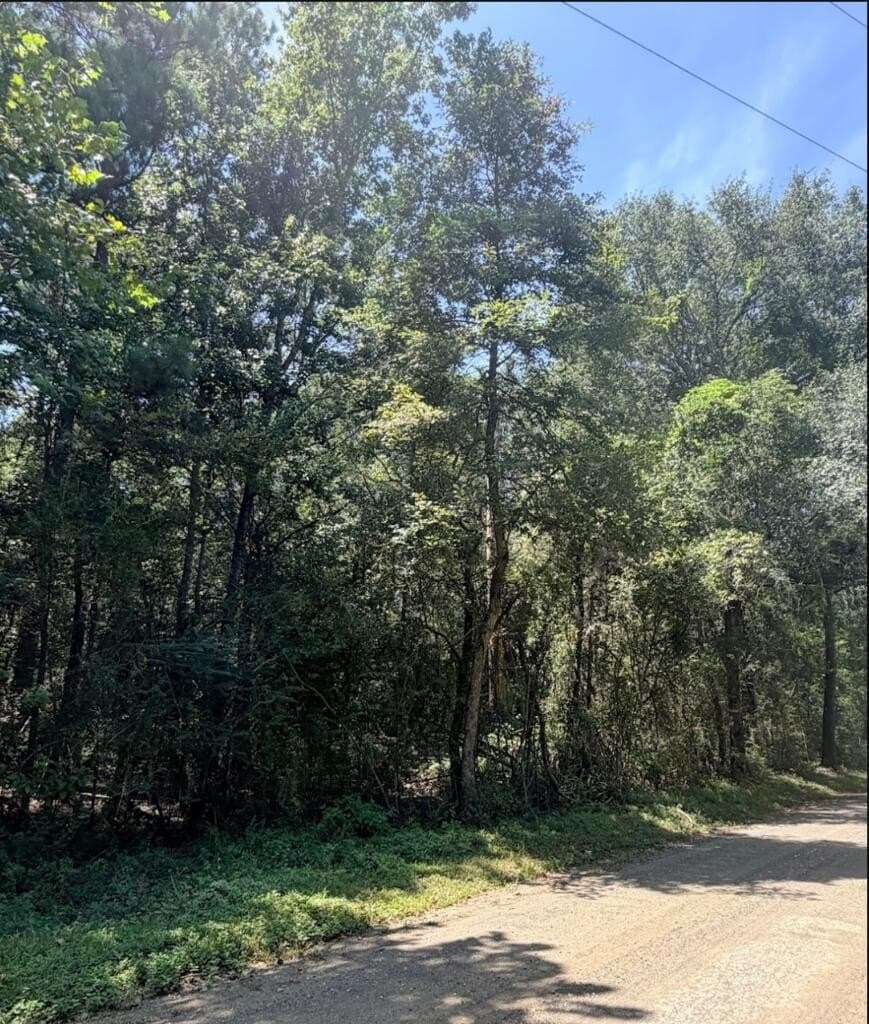 6.18 acres in Texas County - photo 12
