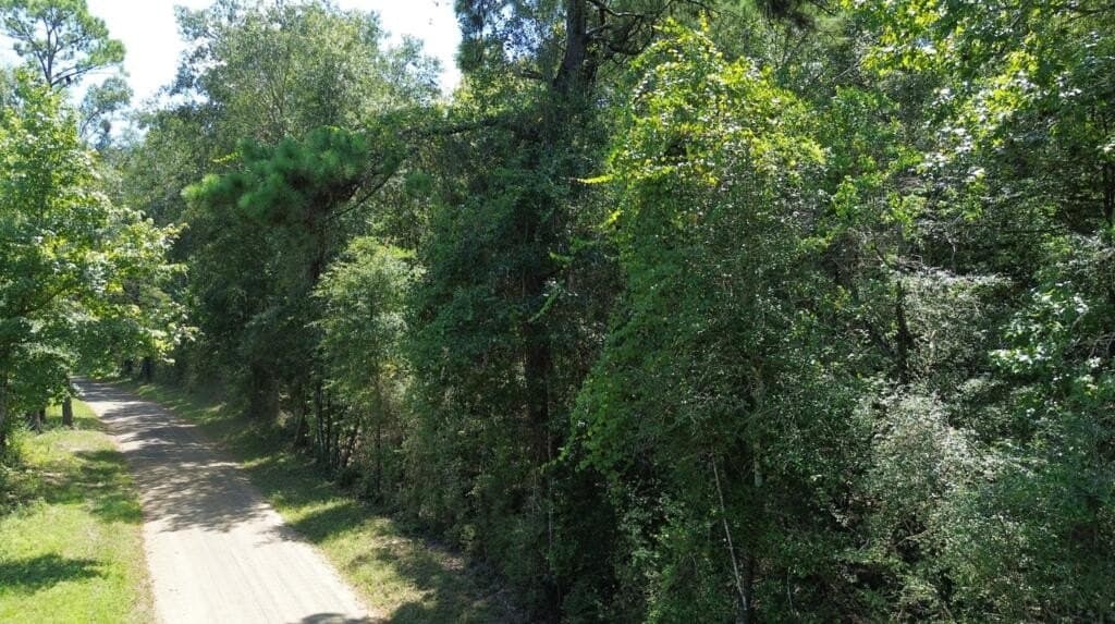 6.18 acres in Texas County - photo 15