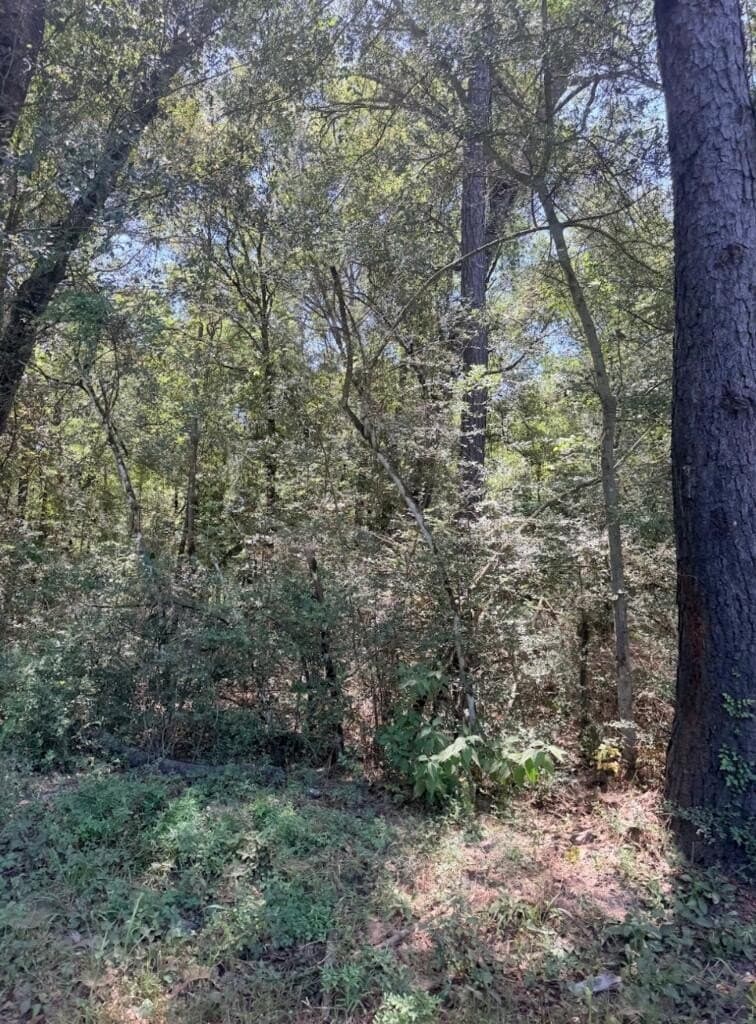 6.18 acres in Texas County - photo 11