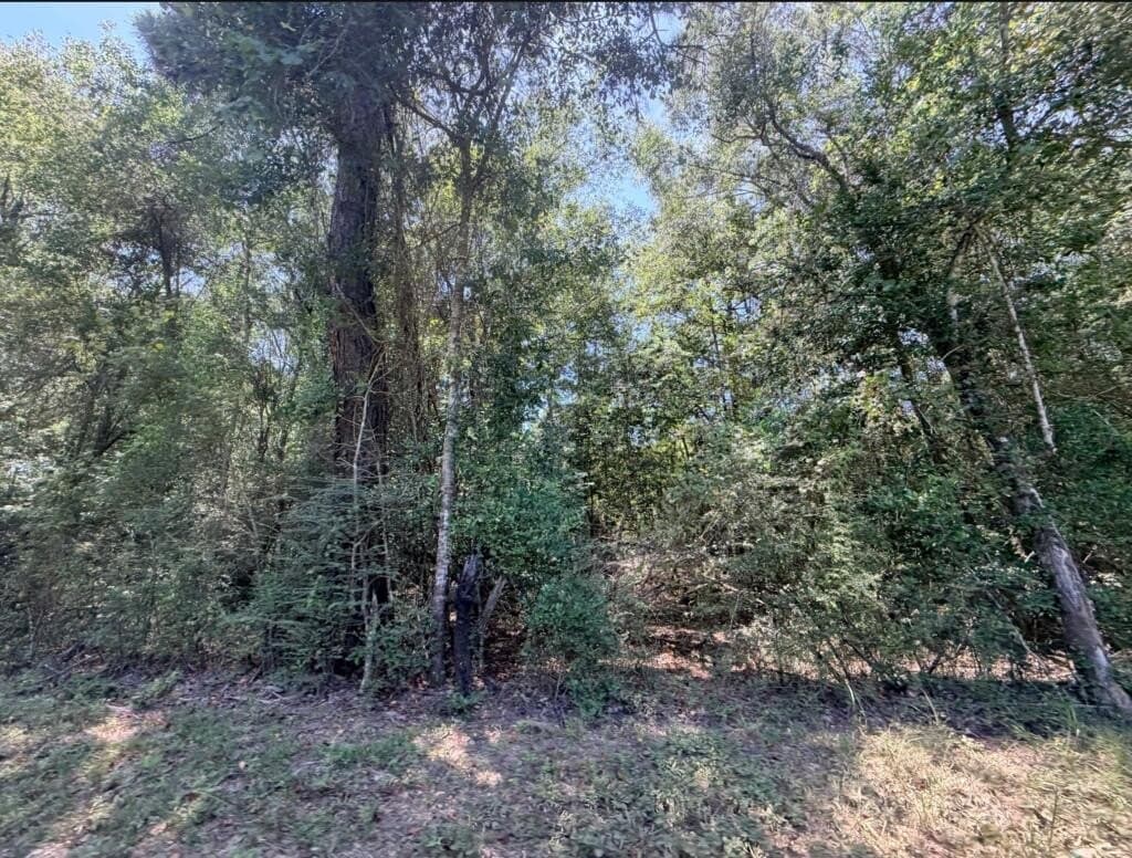 6.18 acres in Texas County - photo 7