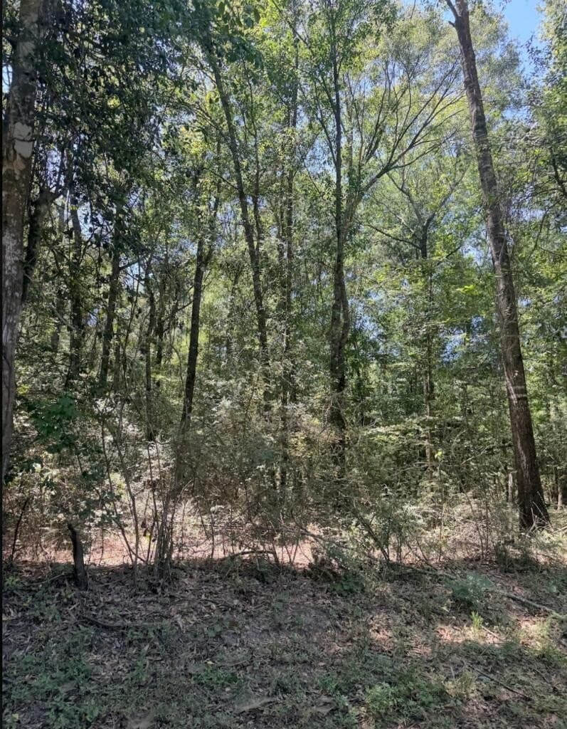 6.18 acres in Texas County - photo 8