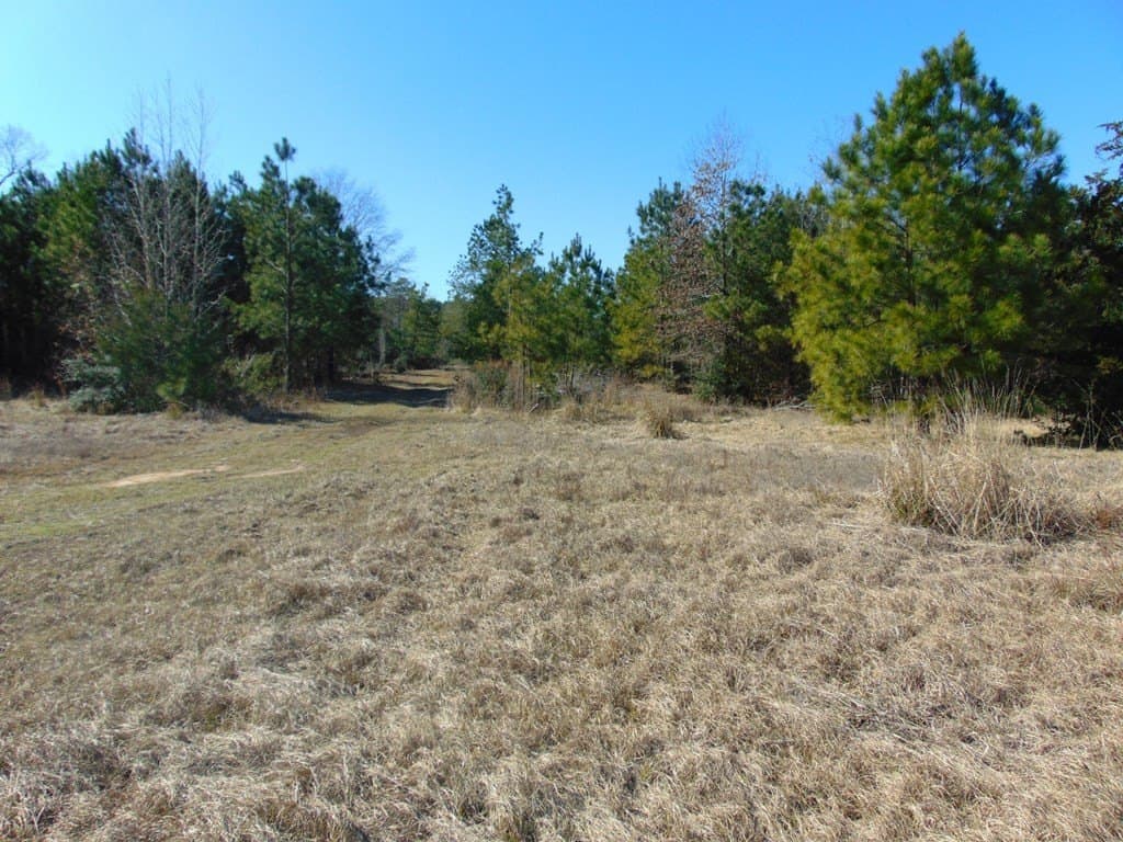 20 acres in Texas County - photo 22