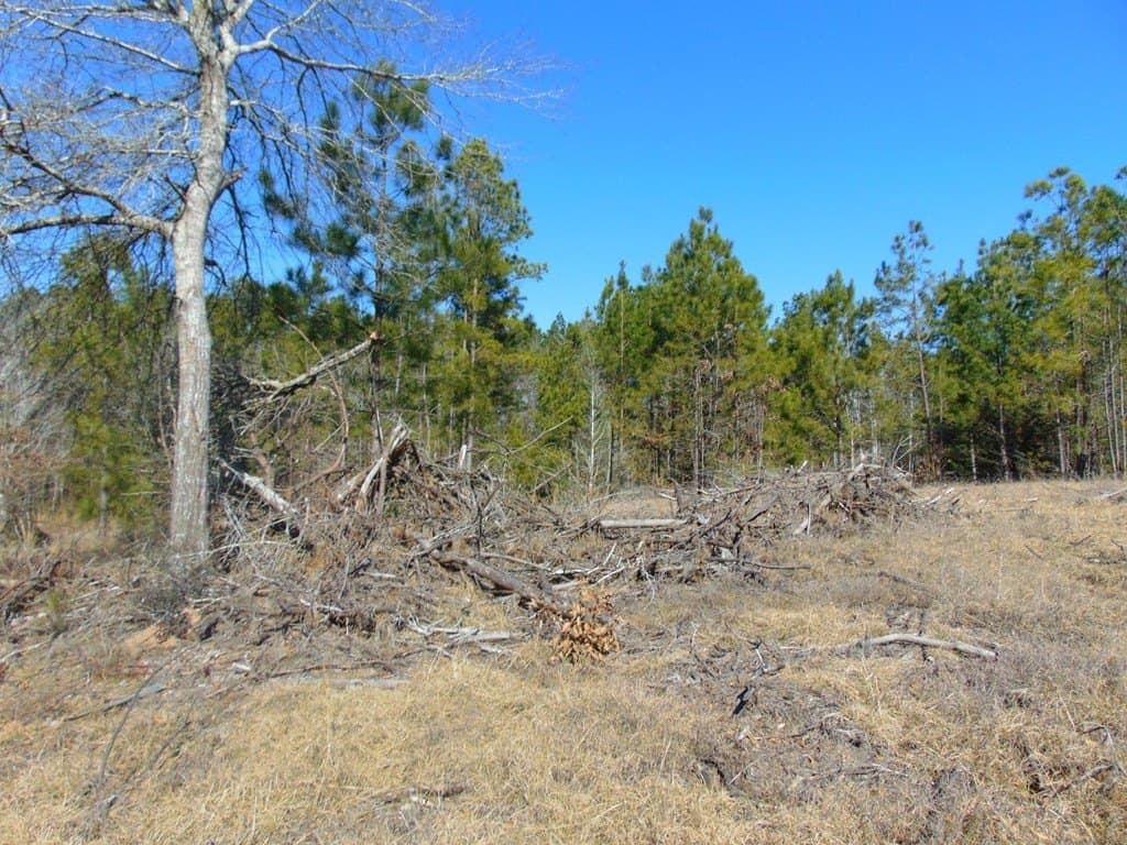 20 acres in Texas County - photo 23