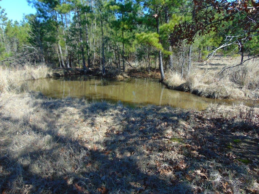 20 acres in Texas County - photo 10