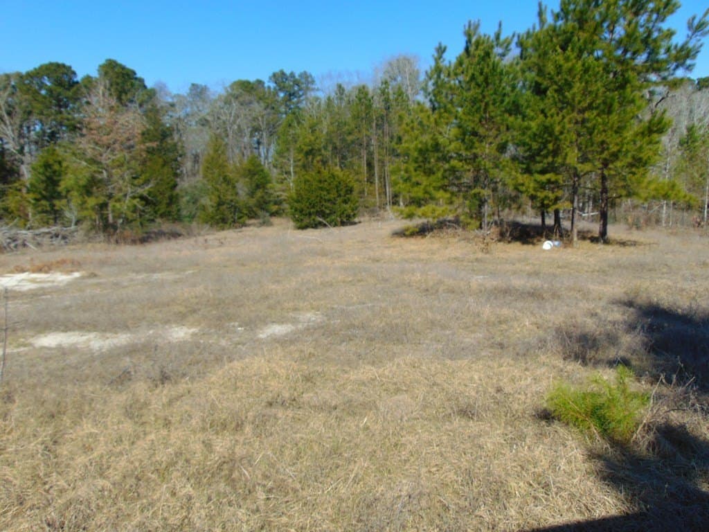 20 acres in Texas County - photo 18