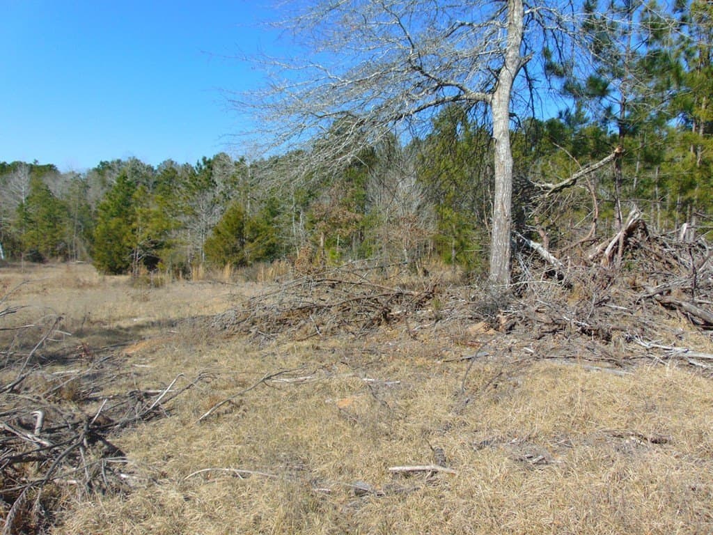 20 acres in Texas County - photo 24