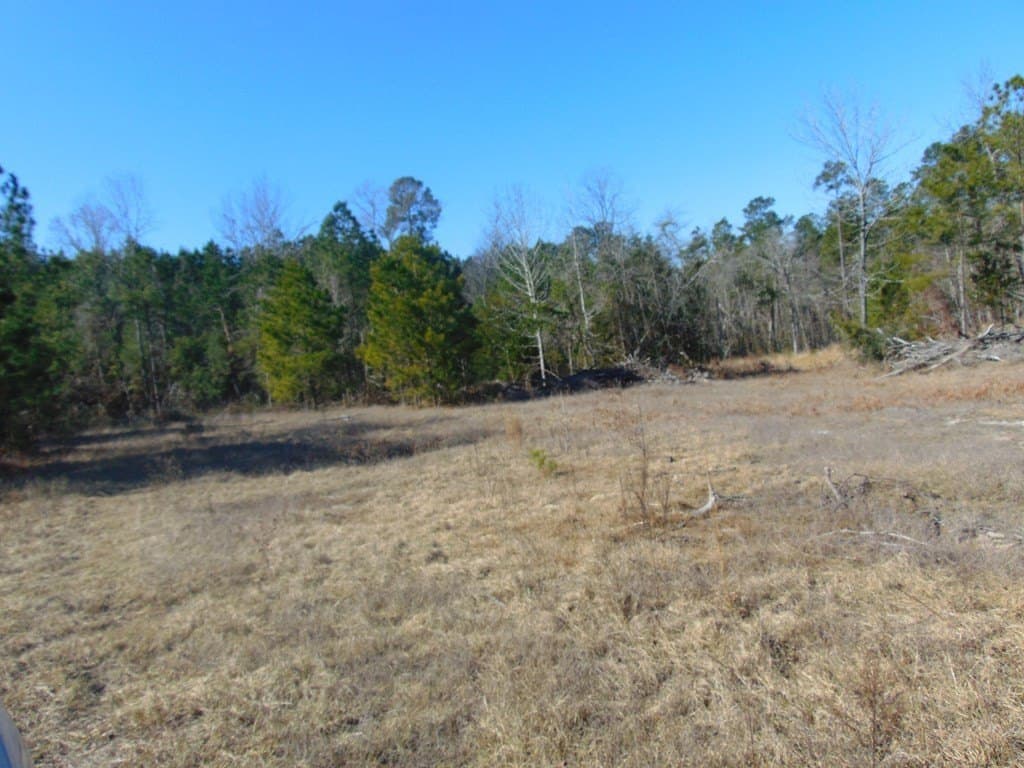 20 acres in Texas County - photo 17