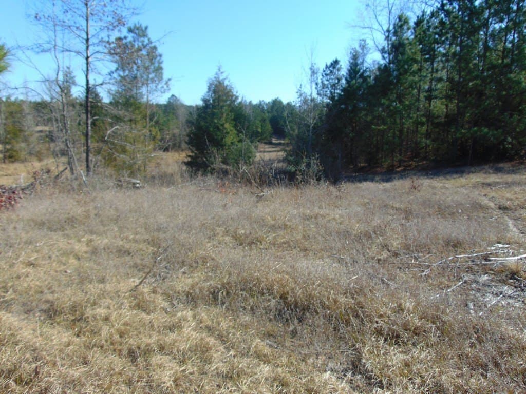 20 acres in Texas County - photo 16