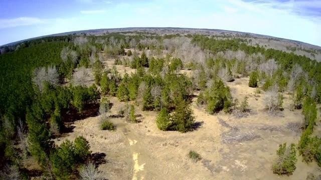 20 acres in Texas County - photo 7