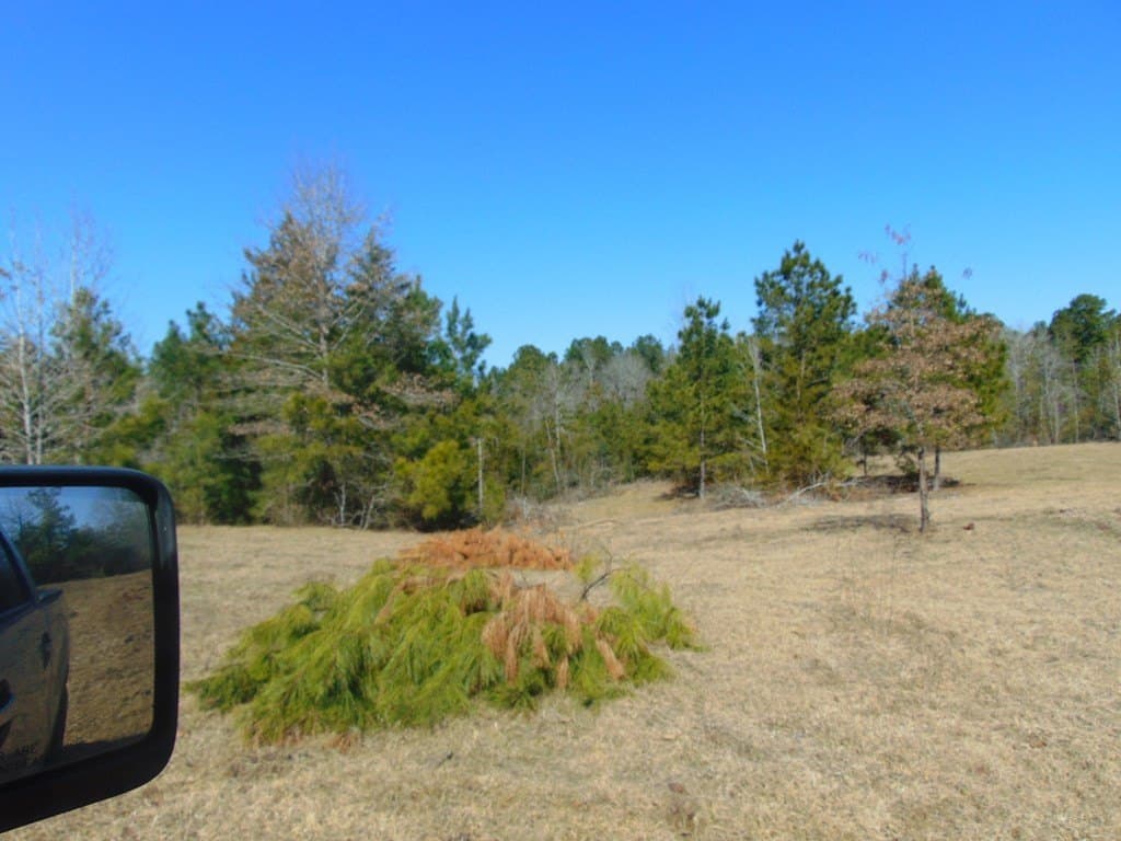 20 acres in Texas County - photo 15